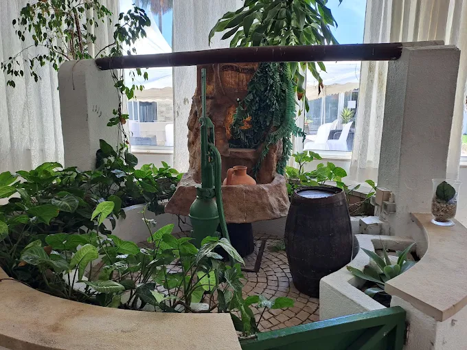 Espaço interior com plantas e um poço decorativo, para dias de chuva
