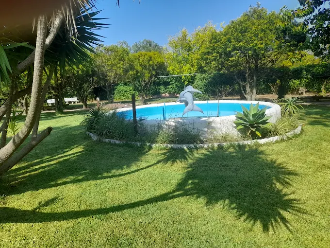 Piscina com escultura de golfinho rodeada de relva e árvores